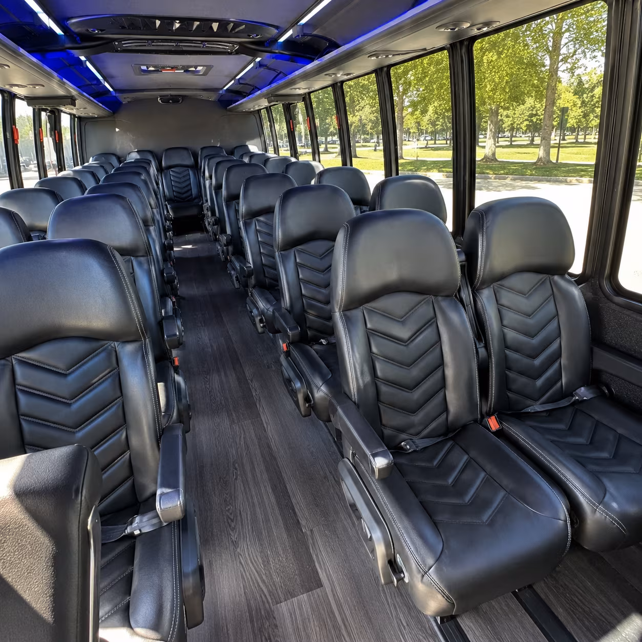 Orlando School Event Transportation party bus exterior