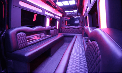 Daytona Beach 14 Passenger Sprinter Bus Interior