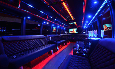 Tampa 30 Passenger Party Bus Black Interior